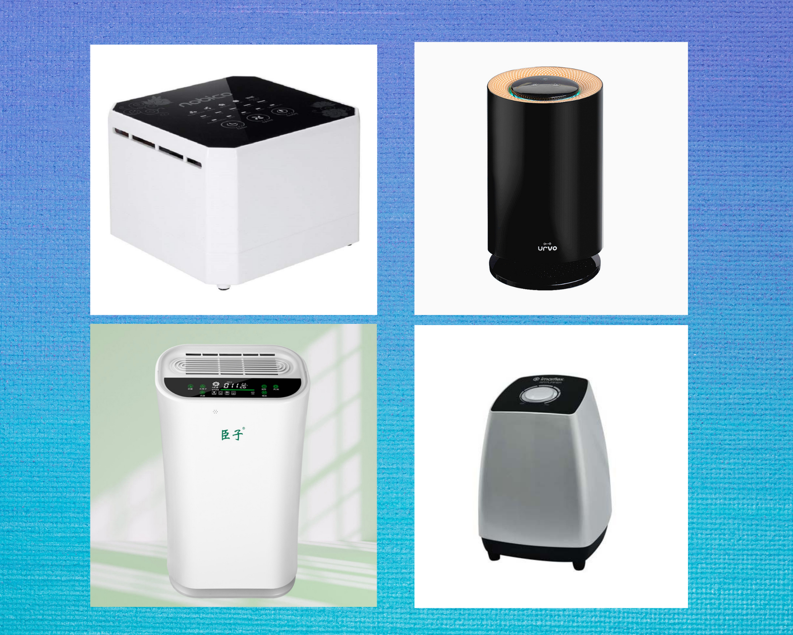 These Air Purifiers are Easy on Your Pockets but Tough on Germs